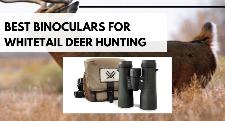 Best Binoculars for Whitetail Deer Hunting