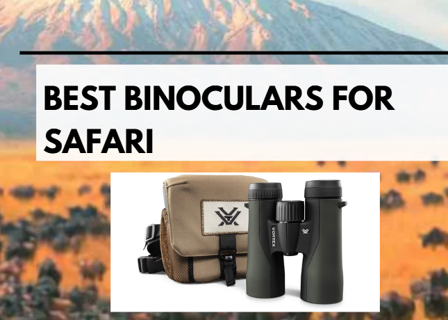 Best Binoculars for Safari