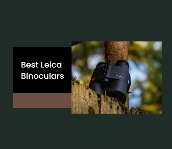 Best Leica Binoculars