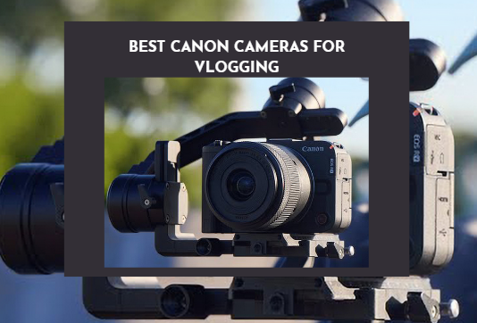 Best Canon Cameras for Vlogging