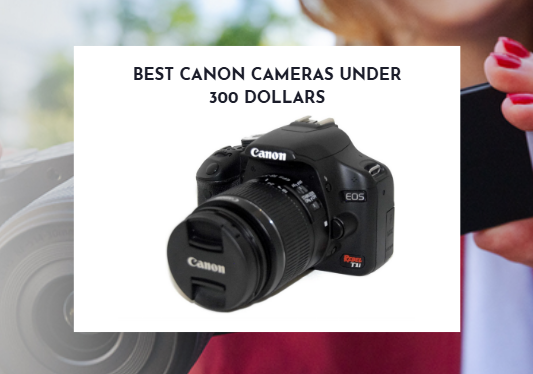 Best Canon Cameras under 300 Dollars