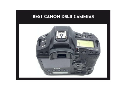 Best Canon DSLR Cameras