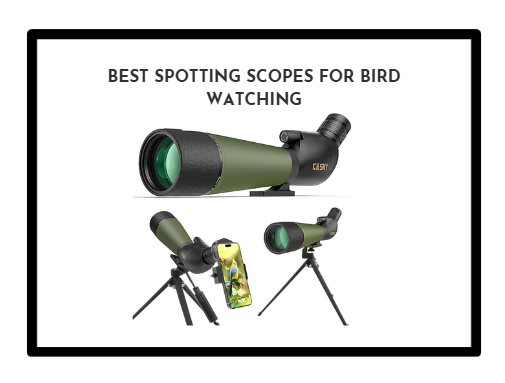 Best Spotting Scopes for Bird Watching