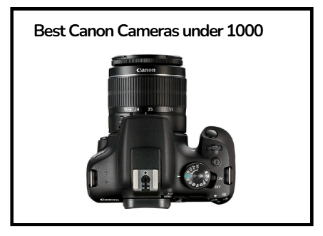 Best Canon Cameras under 1000