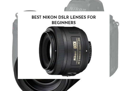 Best Nikon DSLR Lenses for Beginners