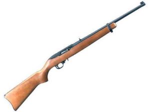 Ruger 10 22