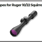 Best Scopes for Ruger 10/22 Squirrel Hunting​