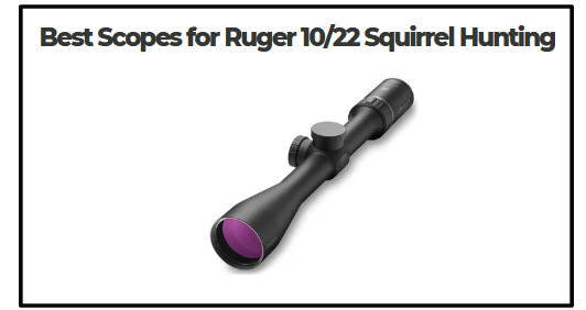 Best Scopes for Ruger 10/22 Squirrel Hunting​