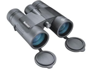 Bushnell Prime 10x42