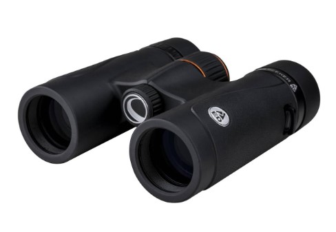 9 Best Small Binoculars For Bird Watching