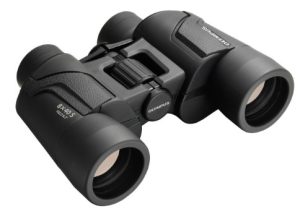 Olympus 8x40 DPS I