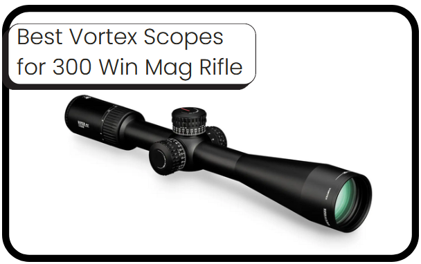 6 Best Vortex Scopes for 300 Win Mag Rifle