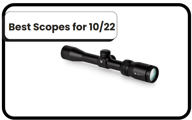 5 Best Scopes for 10/22