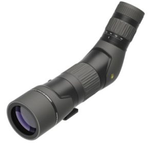 Leupold SX-2 Alpine 20-60x80