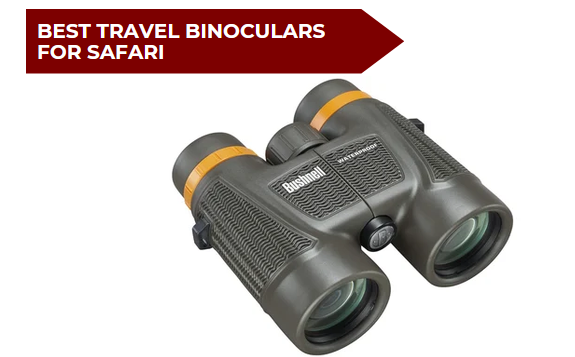 7 Best Travel Binoculars for Safari