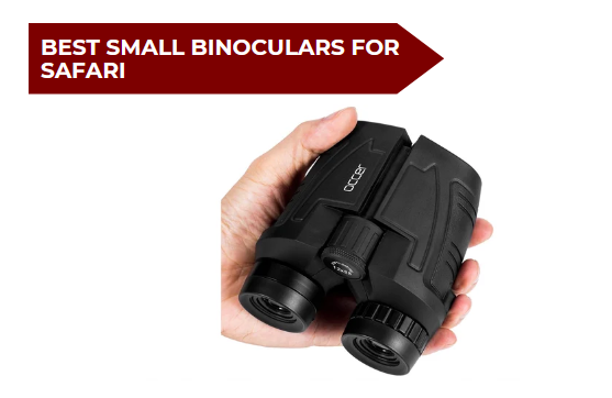 Best Small Binoculars for Safari