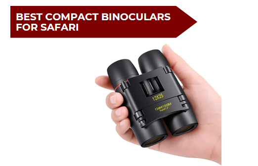 5 Best Compact Binoculars for Safari