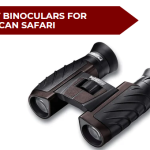 Best Binoculars for African Safari