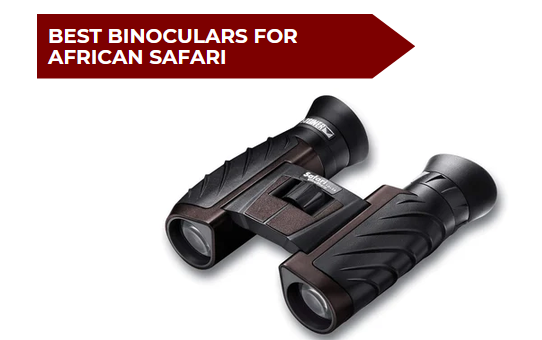 7 Best Binoculars for African Safari
