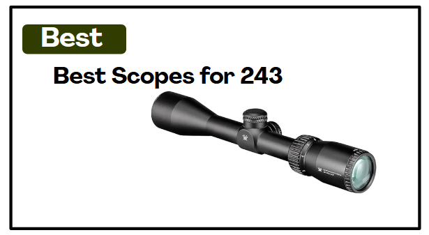 5 Best Scopes for 243