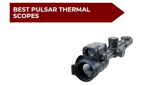 7 Best Pulsar Thermal Scopes