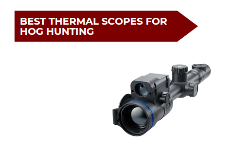 8 Best Thermal Scopes for Hog Hunting​