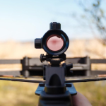 Best Reflex Sights for Turkey Hunting