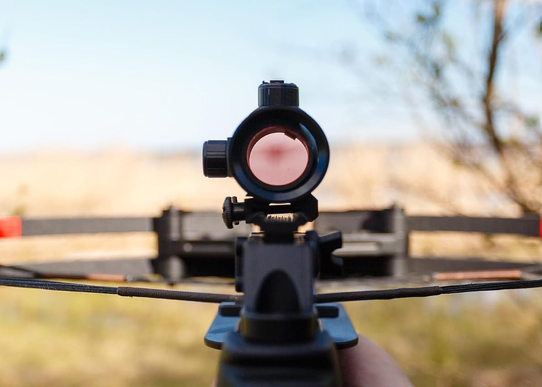 8 Best Reflex Sights for Turkey Hunting